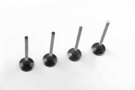 Випускні клапана (4 шт) Kangoo/Logan 1.6 (K7M/K7J) 04-, ASAM (30464)