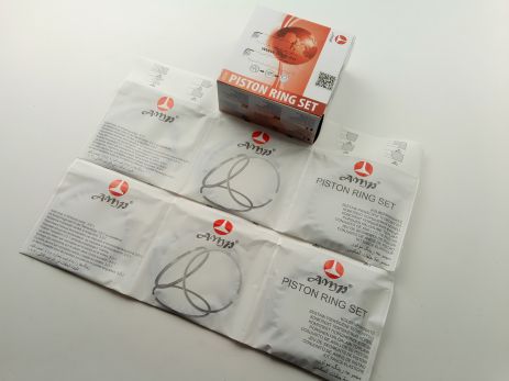 Наборные/стальные кольца AMP 76,4 (PR-LAD-49-2802-040-SET) (2101-1000100-31) Наборные/стальные кольца AMP 76,4 (PR-LAD-49-2802-040-SET) (2101-1000100-31)