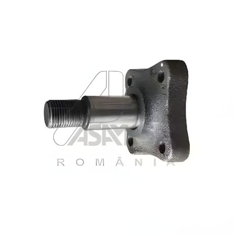 Заднього маточина колеса Logan MCV 07-, ASAM (30319)