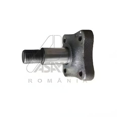 Заднього маточина колеса Logan MCV 07-, ASAM (30319)