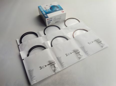 Кольца AMP 79,0 (PR-LAD-44-2803-000) цельные, чугунные (21011-1000100-10) Кольца AMP 79,0 (PR-LAD-44-2803-000) цельные, чугунные (21011-1000100-10)