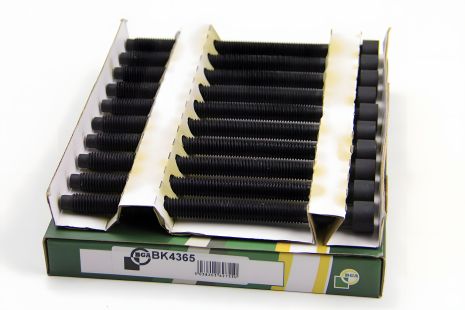 Болты для головки блока T5 1.9TDI/Caddy 1.9TDI/2.0SDI 04-(10 шт.), BGA (BK4365)