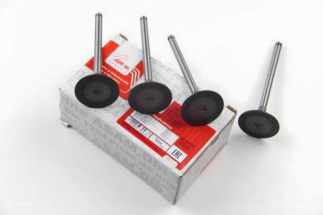 Впускні клапана (4 шт) Kangoo/Logan 1.6 (K7M/K7J) 04-, ASAM (30463) Впускні клапана (4 шт) Kangoo/Logan 1.6 (K7M/K7J) 04-, ASAM (30463)