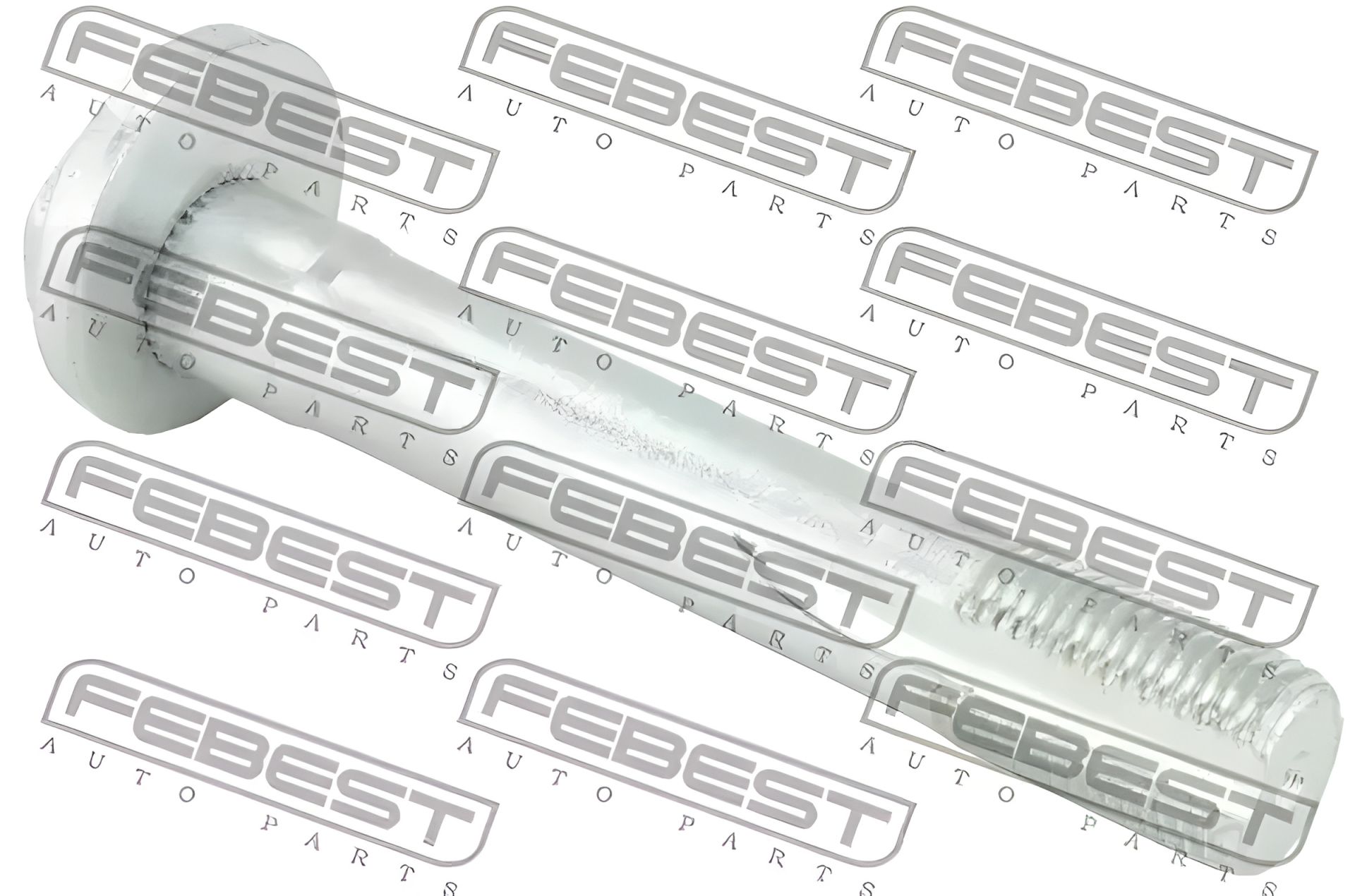 Болт з ексцентриком, FEBEST BMW X5 E70 06-13 (1929003) Болт з ексцентриком, FEBEST BMW X5 E70 06-13 (1929003)