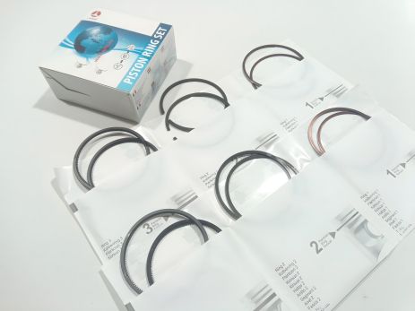 Кольца цельные AMP 76,4 (PR-LAD-44-2802-040), Чугун, Артикул: 2101-1000100-31 Кольца цельные AMP 76,4 (PR-LAD-44-2802-040), Чугун, Артикул: 2101-1000100-31