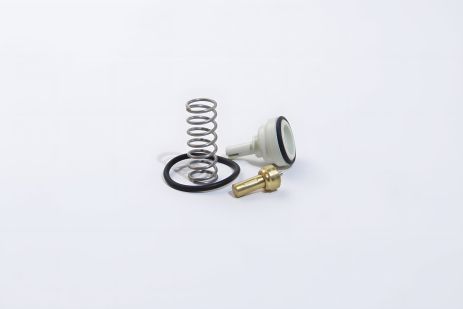 Термостат FACET Audi A3 / Skoda Octavia / VW Golf/Passat/Touran 1.6 FSI 03- (78620)