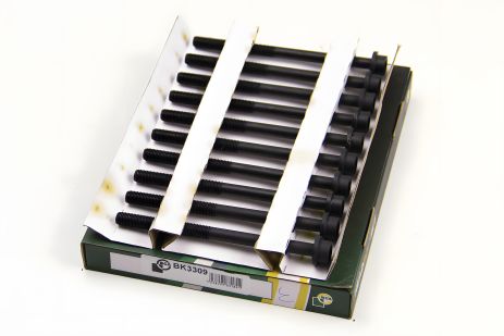 ГБЦ болты для C-Max/Mondeo/Mazda3-6/Volvo 1.8/2.0i, начиная с 03 года, BGA (BK3309)