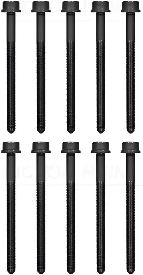 Комплект болтів ГБЦ (10шт.) для VW Passat 1.8/2.0 TSI 05-, VICTOR REINZ (143238301)