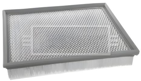 Повітряний фільтр BERTONE FREECLIMBER, BMW X6, BORG & BECK (BFA2489)