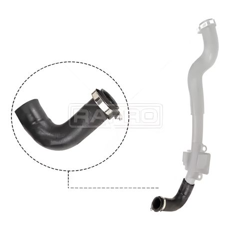 Інтеркулерний патрубок Kangoo 1.5dCi 08-, RAPRO (12500)