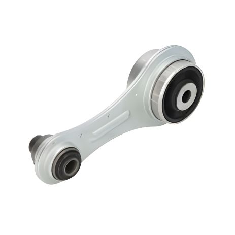 Задня подушка двигуна RENAULT MEGANE, Sasic (4001714)