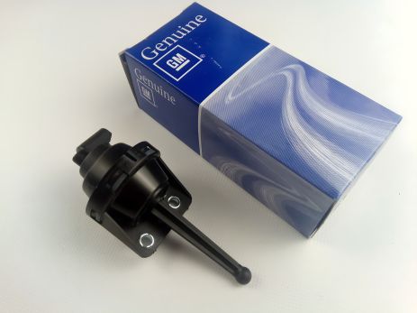 Клапан впускного коллектора Aveo 1.6/Lacetti 1.6, "GM" (96859269) (96408135) Клапан впускного коллектора Aveo 1.6/Lacetti 1.6, "GM" (96859269) (96408135)