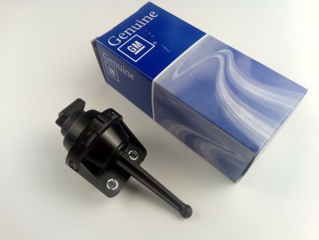 Клапан впускного колектора Aveo 1.6/Lacetti 1.6, "GM" (96859269) (96408135) Клапан впускного колектора Aveo 1.6/Lacetti 1.6, "GM" (96859269) (96408135)