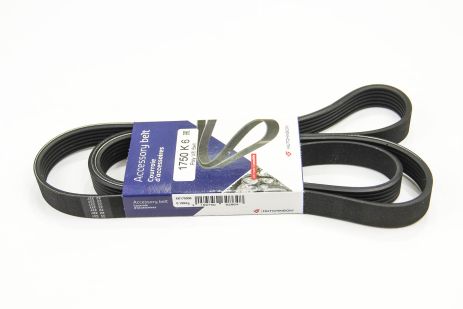 Π Π΅ΠΌΡΠ½Ρ Π³Π΅Π½Π΅ΡΠ°ΡΠΎΡΠ° 6PK1750 LT/T4 2.5TDI 00, Hutchinson (1750K6) Π Π΅ΠΌΡΠ½Ρ Π³Π΅Π½Π΅ΡΠ°ΡΠΎΡΠ° 6PK1750 LT/T4 2.5TDI 00, Hutchinson (1750K6)