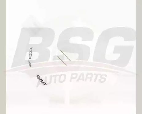 Танк розширює радіатор Caddy 04-/Golf 04-13/Jetta 06-/Passat 05-, BSG (BSG90550006)