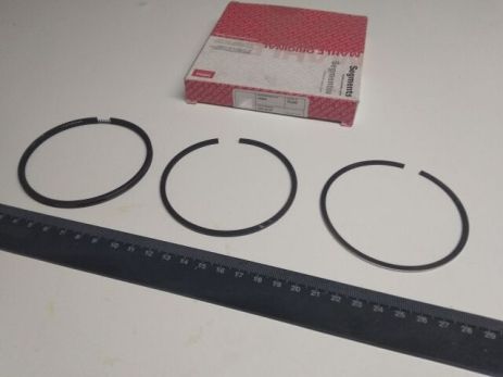 Кільця Mahle/Knecht 79.4 (448 15 N1) (21011-1000100-31)