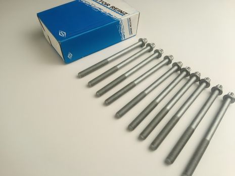 Комплект болтов ГБЦ для Lanos 1.5, VICTOR REINZ (14-32102-01) 10 шт (94501001)