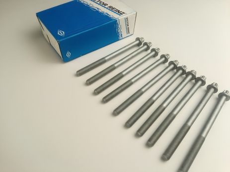 VICTOR REINZ (14-32102-01) Болт ГБЦ Lanos 1.5 к-т 10 шт (94501001) VICTOR REINZ (14-32102-01) Болт ГБЦ Lanos 1.5 к-т 10 шт (94501001)