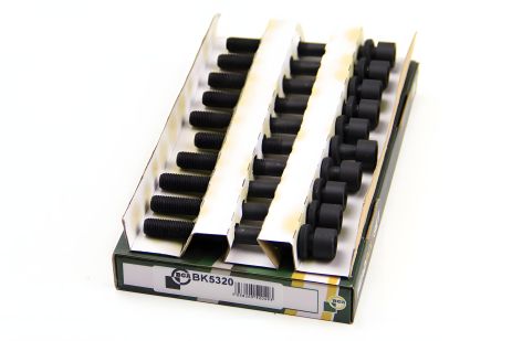 Комплект болтів ГБЦ BGA (Astra F/G/H/Omega B/Vectra A/B/Nubira 1.8/2.0i 94-, BK5320) Комплект болтів ГБЦ BGA (Astra F/G/H/Omega B/Vectra A/B/Nubira 1.8/2.0i 94-, BK5320)