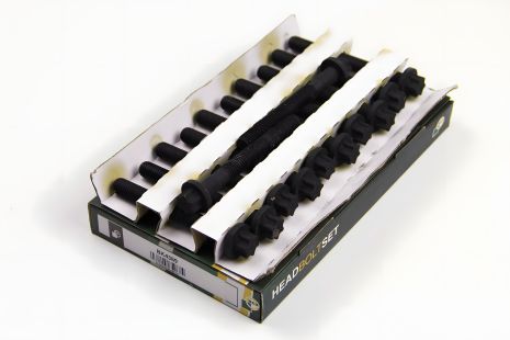 Комплект болтов ГБЦ MB OM612, BGA (12 шт. BK4389) Комплект болтов ГБЦ MB OM612, BGA (12 шт. BK4389)