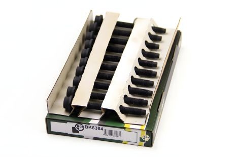 ГБЦ болти Connect/Escort/Fiesta/Mondeo/Orion 1.6/1.8/2.0i 92- (к-кт), BGA (BK6384) ГБЦ болти Connect/Escort/Fiesta/Mondeo/Orion 1.6/1.8/2.0i 92- (к-кт), BGA (BK6384)