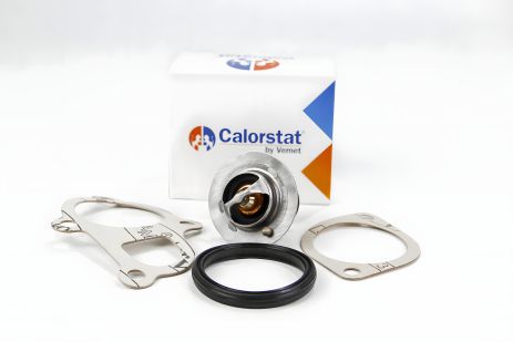 Термостат HYUNDAI ACCENT/COUPE/ELANTRA/TUCSON/KIA CERATO 1.6 CALORSTAT BY VERNET (TH629482J) Термостат HYUNDAI ACCENT/COUPE/ELANTRA/TUCSON/KIA CERATO 1.6 CALORSTAT BY VERNET (TH629482J)