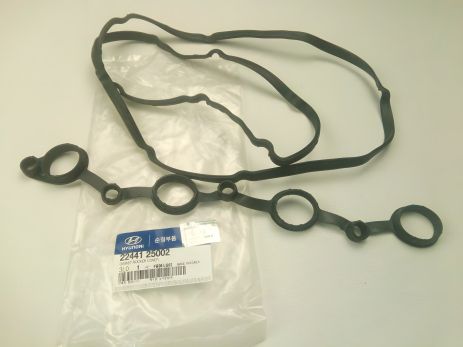 Прокладка клапанной крышки Hyundai/KIA, MOBIS (2244125002) (22441-25002) Прокладка клапанной крышки Hyundai/KIA, MOBIS (2244125002) (22441-25002)