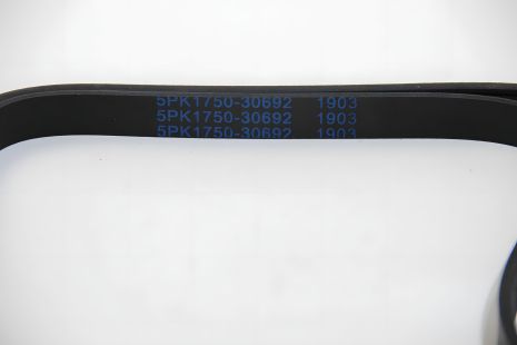 Генератора ремінь 5PK1750 Kangoo 1.4/1.6i, ASAM (30692) Генератора ремінь 5PK1750 Kangoo 1.4/1.6i, ASAM (30692)