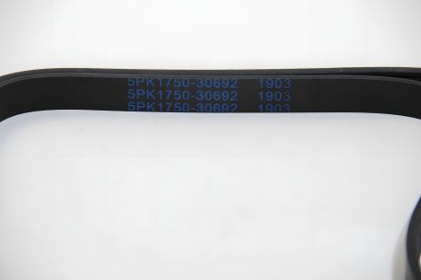 Ремень генератора 5PK1750 для Kangoo 1.4/1.6i, ASAM (30692) Ремень генератора 5PK1750 для Kangoo 1.4/1.6i, ASAM (30692)