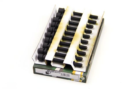 Комплект головних болтів Caddy II/Octavia/Golf III/Polo 1.4/1.6i 91-99, BGA (BK5312)