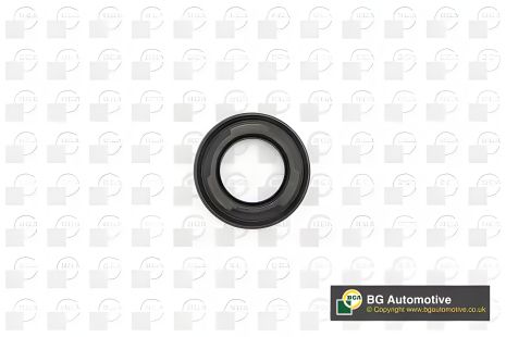 Передний коленвальный сальник 50x90x14 Ducato/Boxer 2.2HDi 06-/Transit (V184/347) 00-, BGA (OS9304) Передний коленвальный сальник 50x90x14 Ducato/Boxer 2.2HDi 06-/Transit (V184/347) 00-, BGA (OS9304)