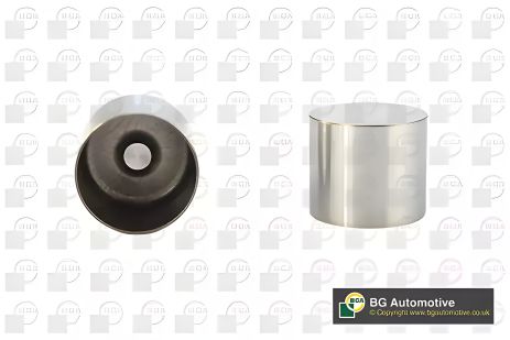 Гидрокомпенсатор для Vivaro/Kangoo/Scenic 1.9TDI/1.5 dCi, BGA