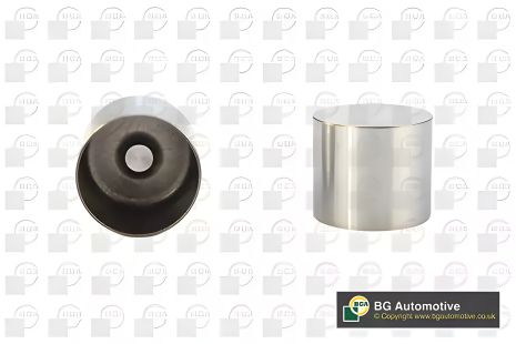 Гидрокомпенсатор для Vivaro/Kangoo/Scenic 1.9TDI/1.5 dCi, BGA