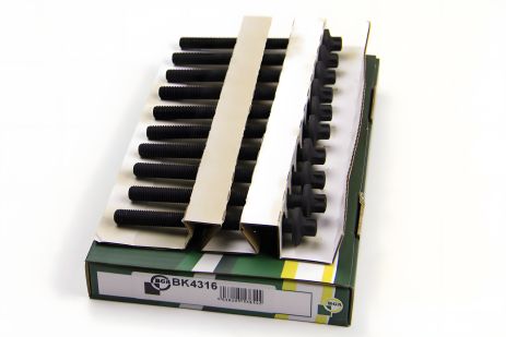 Болты ГБЦ Kangoo/Clio 1.2 96- (комплект), BGA (BK4316) Болты ГБЦ Kangoo/Clio 1.2 96- (комплект), BGA (BK4316)