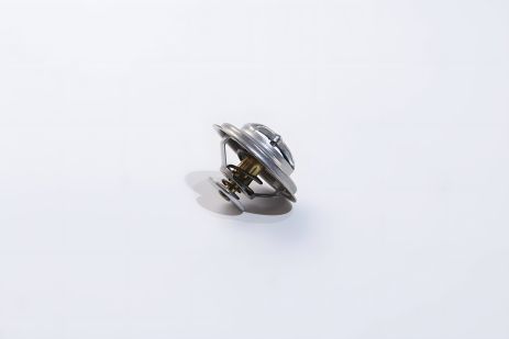 Термостат Renault Trafic/VW Golf 2.1-2.3 D/TD/i 80- (82 C), FACET (78250S)