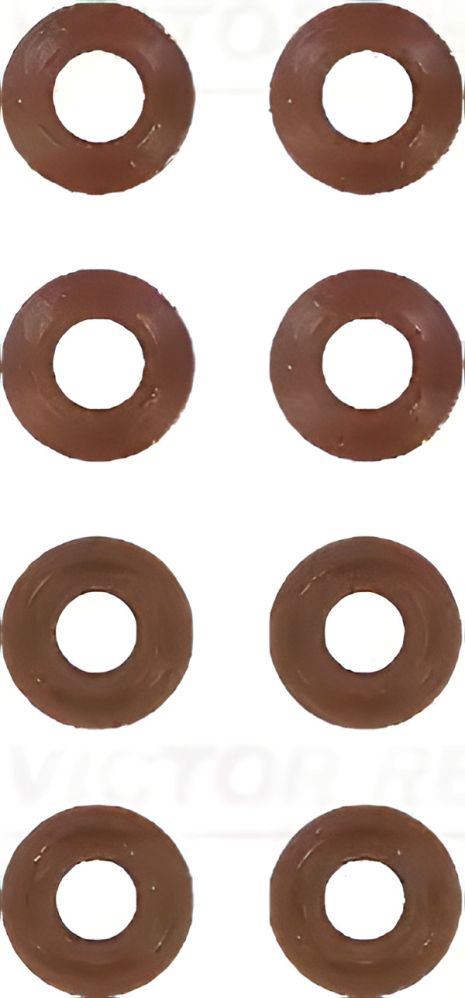 Комплект сальників клапанів, VICTOR REINZ (122522703)