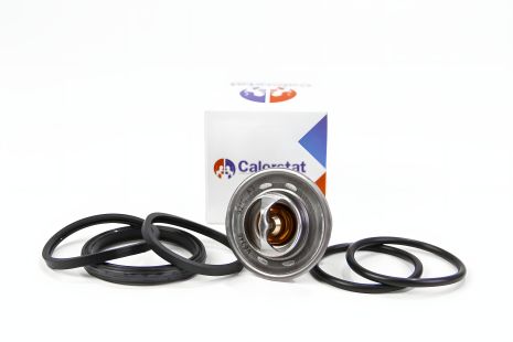 Термостат для OPEL ASCONA B/MONZA A/OMEGA A/REKORD D E/SENATOR A, CALORSTAT BY VERNET (TH143992J)