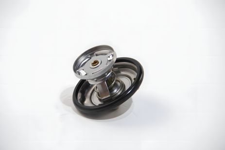 Термостат для ОМ601/602 (80C),SSANGYONG REXTON JP Group (1314600210)