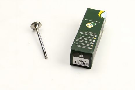 Випускний клапан 2.0TDI T5 09-/Crafter/Caddy 11-/Passat 10-, BGA (V165651) Випускний клапан 2.0TDI T5 09-/Crafter/Caddy 11-/Passat 10-, BGA (V165651)