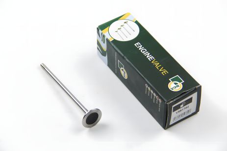 Выпускной клапан BERLINGO/C4/PARTNER 1.4/1.6i 09-, BGA (V591702) Выпускной клапан BERLINGO/C4/PARTNER 1.4/1.6i 09-, BGA (V591702)