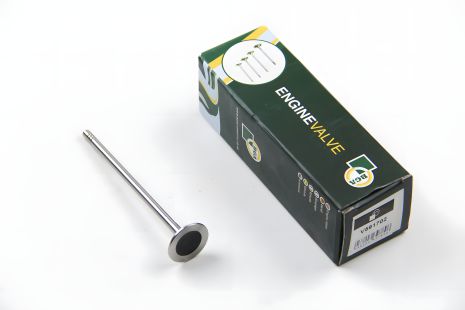 Випускний клапан для BERLINGO/C4/PARTNER 1.4/1.6i 09-, BGA (V591702) Випускний клапан для BERLINGO/C4/PARTNER 1.4/1.6i 09-, BGA (V591702)