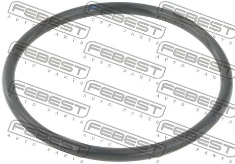 Прокладка заслінки дросельної Kangoo 1.6 i 01-/Trafic/Vivaro 2.0 i 01-, FEBEST (RINGAH010) Прокладка заслінки дросельної Kangoo 1.6 i 01-/Trafic/Vivaro 2.0 i 01-, FEBEST (RINGAH010)