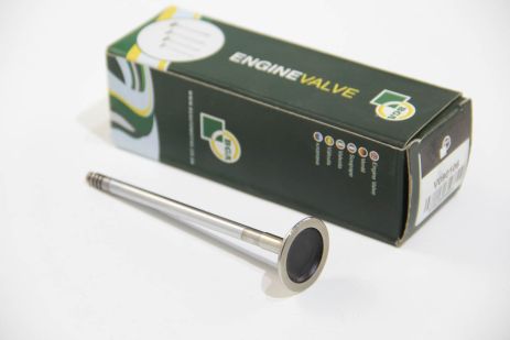 Випускний клапан BMW 3 (E90)/5 (E60/F10) DV.N53B30A, BGA (V090106)