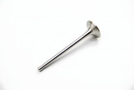 Випускний клапан для Passat/Golf IV/Octavia 1.8/2.8 i 96- від JP Group (1111305400)