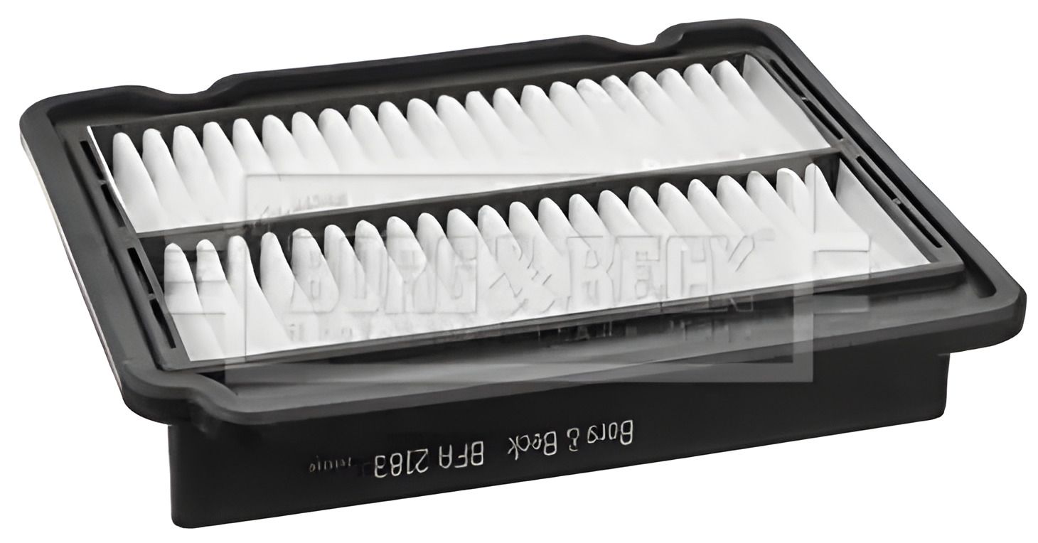 Воздушный фильтр CHEVROLET AVEO, DAEWOO LANOS, BORG & BECK (BFA2183) Воздушный фильтр CHEVROLET AVEO, DAEWOO LANOS, BORG & BECK (BFA2183)