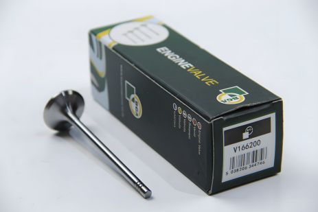 Впускний клапан BMW 1/3/5/X3 07- дв. N47D20, BGA (V166200)