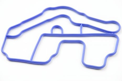 Прокладка термостата для Kangoo 1.6/Megane II/III 1.4/1.6 i 02-, ASAM (33055)