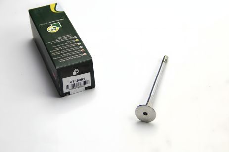 Выпускной клапан Ducato/Boxer 2.2HDi 06-, BGA (V165091) Выпускной клапан Ducato/Boxer 2.2HDi 06-, BGA (V165091)