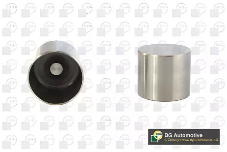 Гидрокомпенсатор клапана для Kangoo/Megane/Trafic 1.5/1.9dCi, BGA (HL7370)