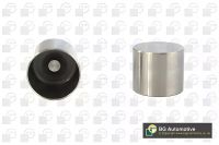 Гідрокомпенсатор клапана, штовхач Kangoo/Megane/Trafic 1.5/1.9dCi 01- (8.075 mm), BGA (HL7370)